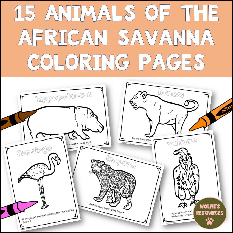 Animals of the african savanna coloring pages