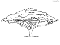 Serengeti plant pages
