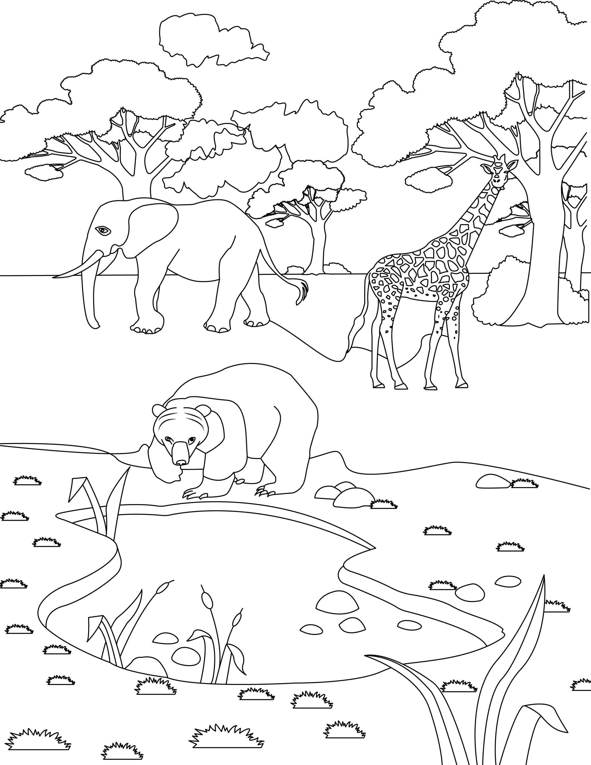 Elephant coloring page