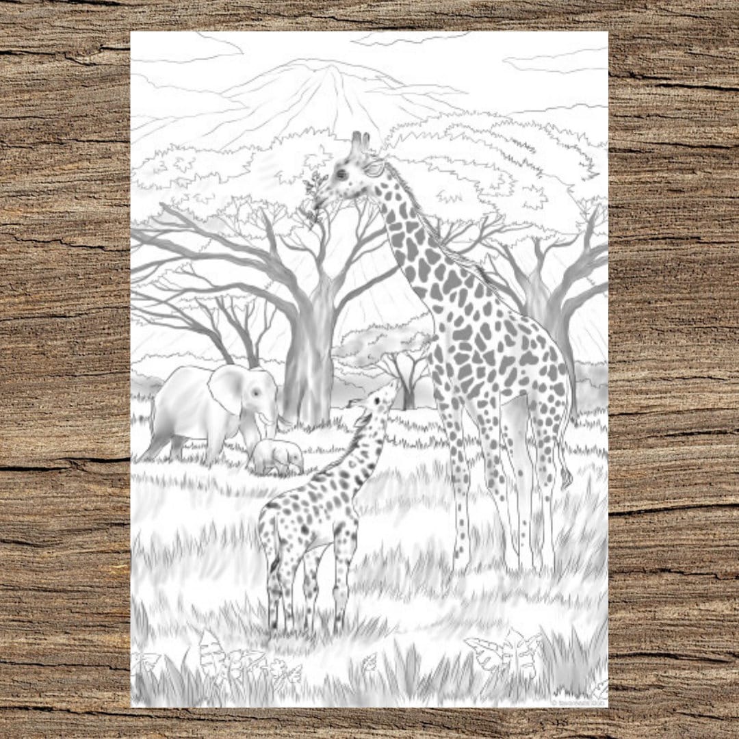 Safari printable adult coloring page from favoreads coloring book pages for adults and kids coloring sheets coloring designs