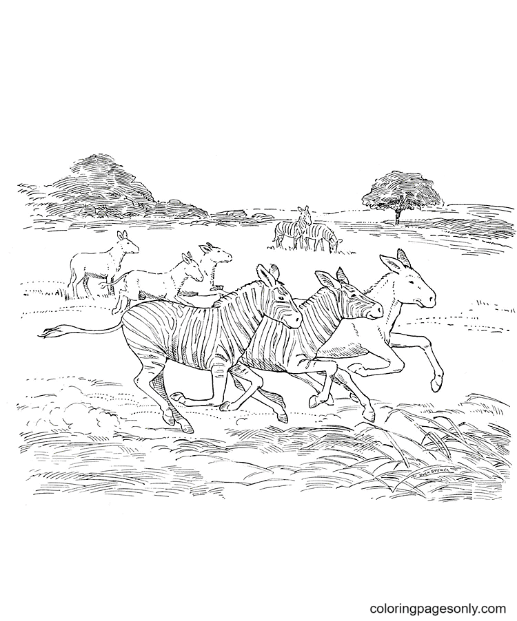 Zebra coloring pages printable for free download
