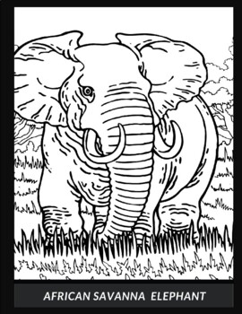 African wildlife coloring page set by maysane tpt