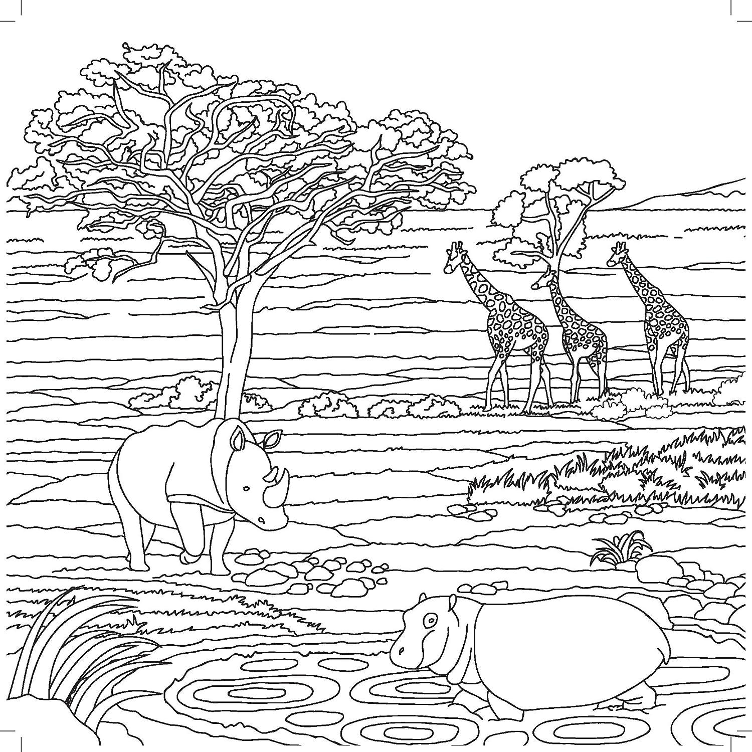 Kaisercraft on safari coloring book