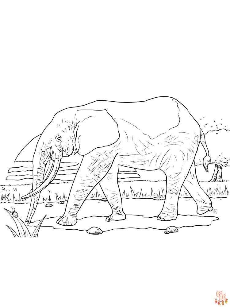 African animals coloring pages