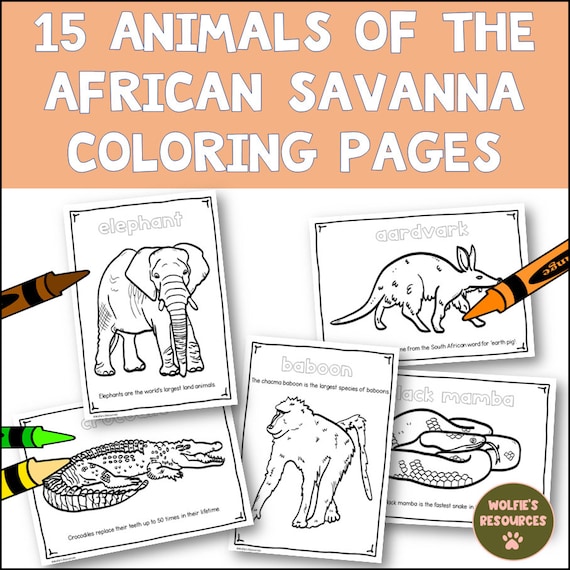 Animals of the african savanna coloring pages