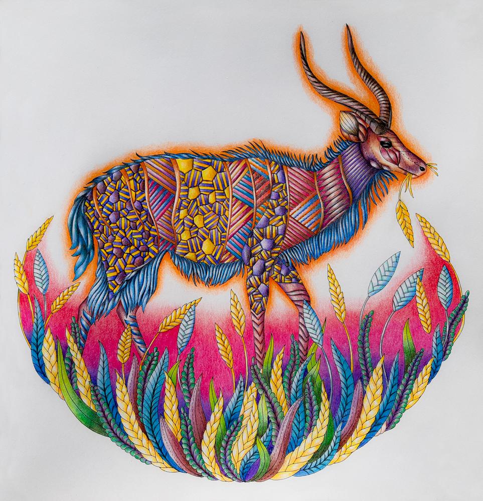 Page from wild savannah coloring book colored with maped colored pencils and marco raffine colored pencils if you like my work and would like to see more you can support me