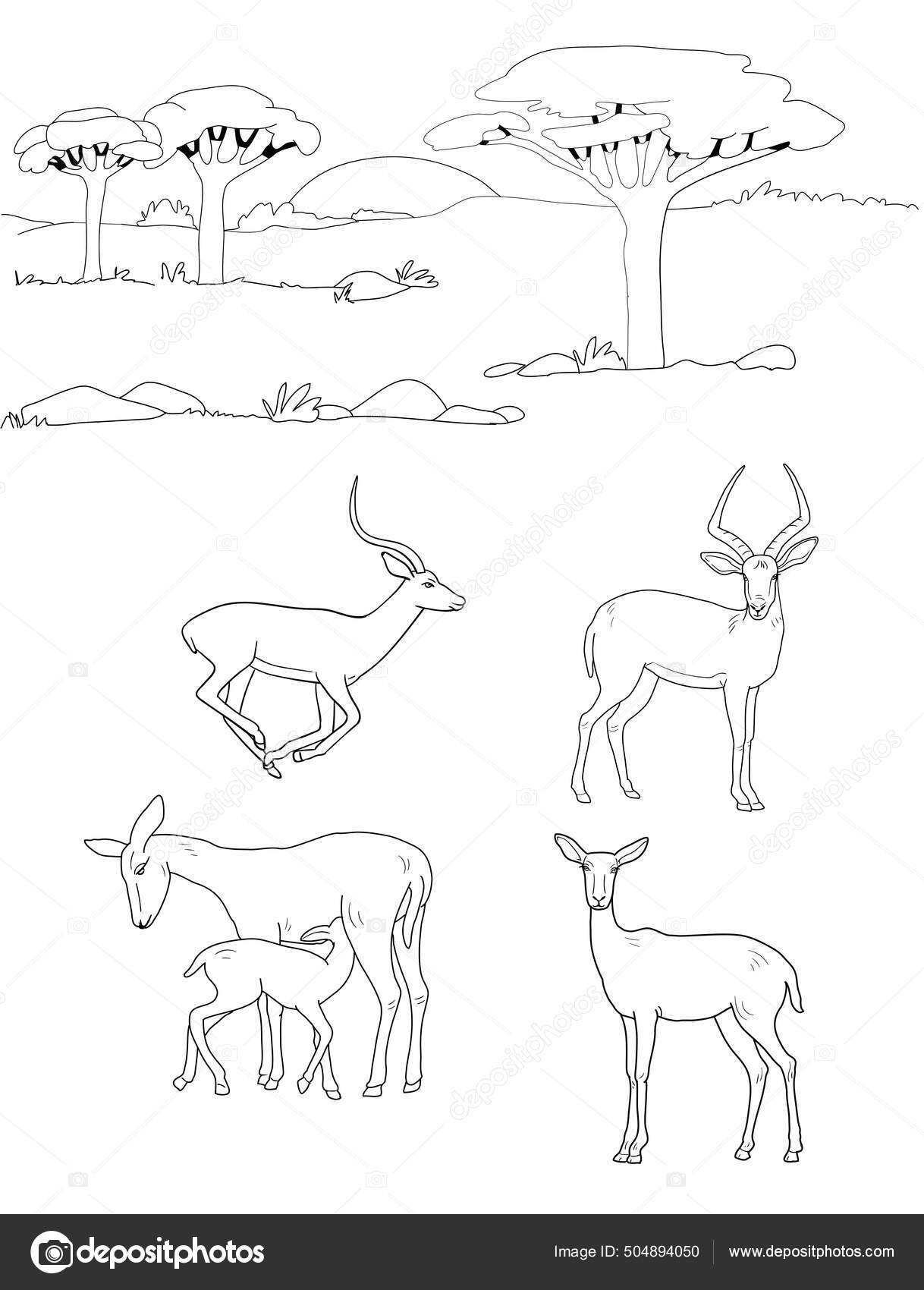 Sketch african savanna vector set antelopes stock vector by zolgagmail