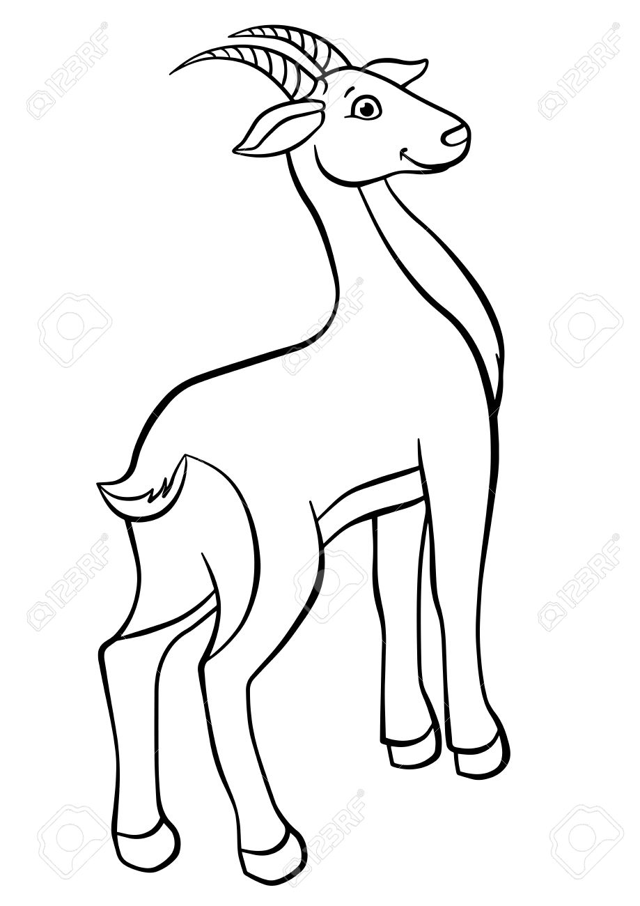 Coloring pages animals little cute antelope stands and smiles royalty free svg cliparts vectors and stock illustration image