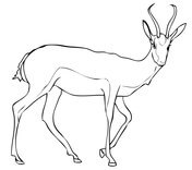 Wooded savannah sable antelope coloring page free printable coloring pages