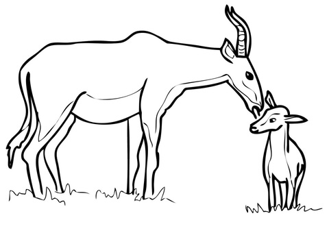 Hartebeest antelope family coloring page free printable coloring pages