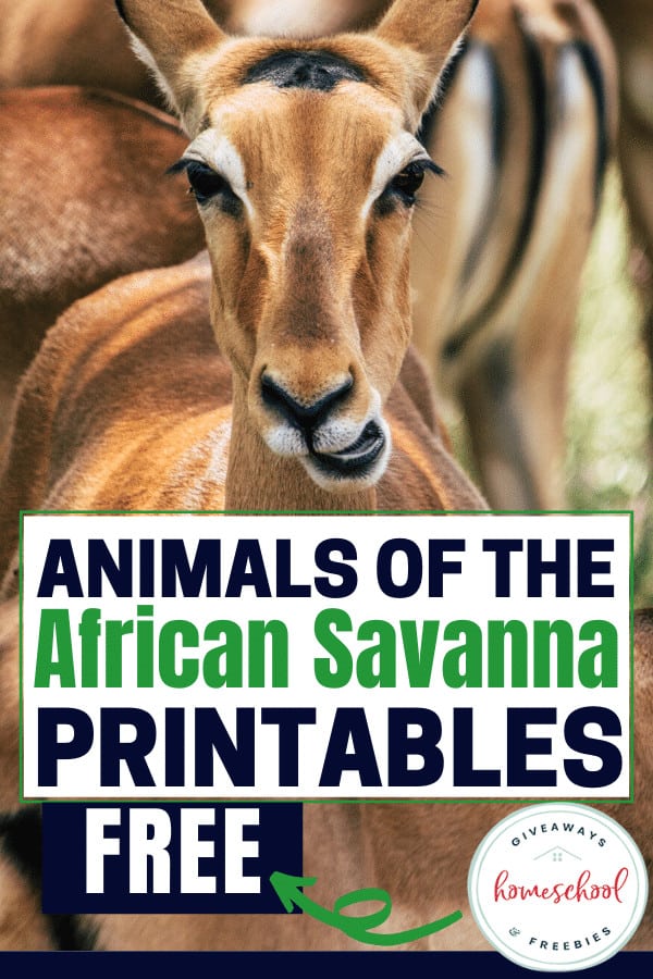 Free animals of the african savanna printables