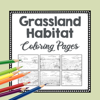 Realistic grassland habitat coloring pages savannah nature biome drawing