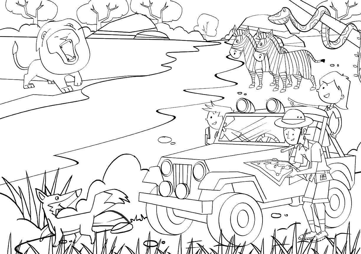 Online coloring pages coloring people on tours in savannah coloring