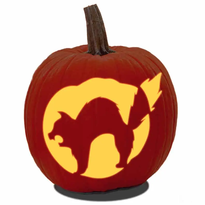 Cute cat pumpkin carving patterns for free artsy pretty plants