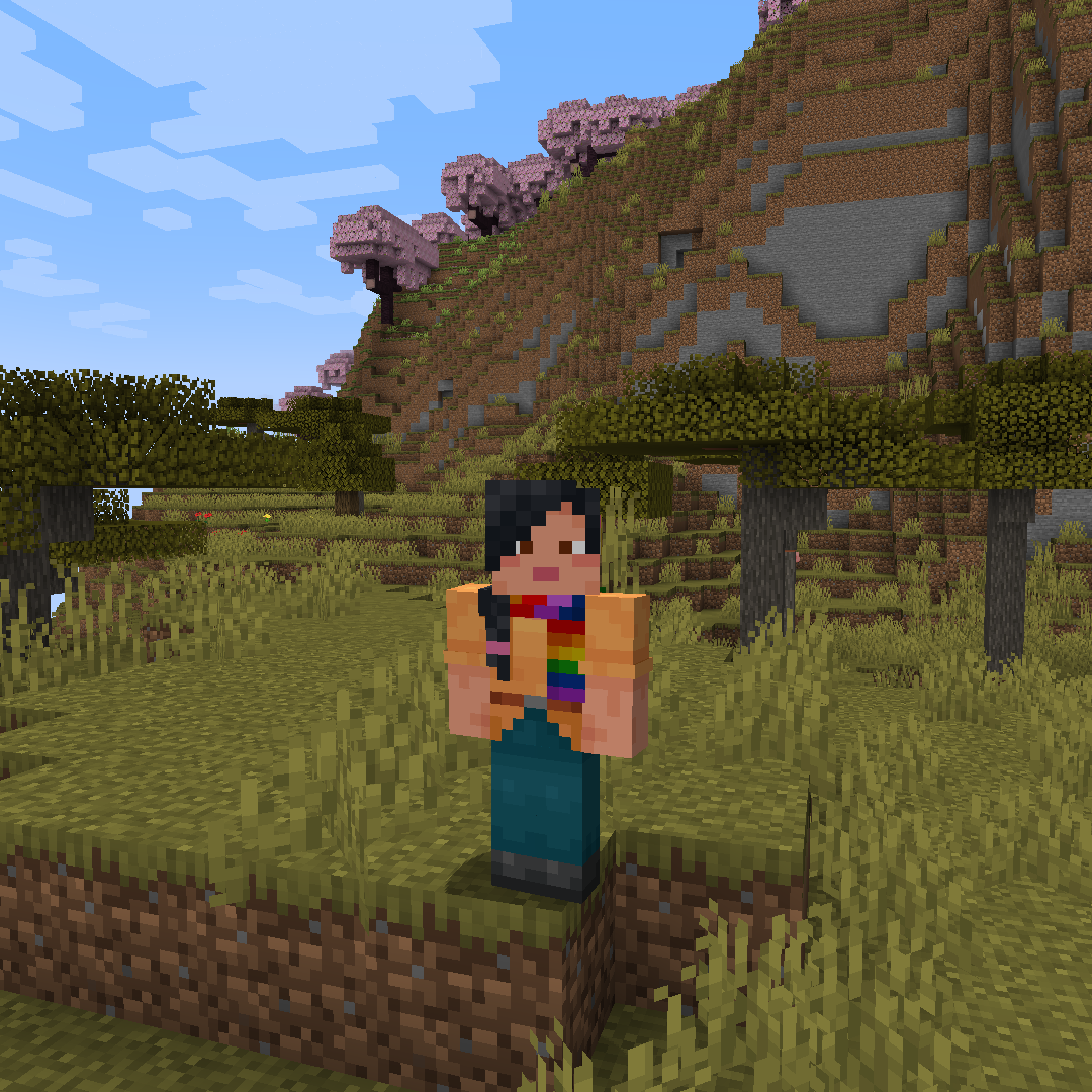 Make assumptions about me based on my minecraft skins saw some other people do it too and thought itd be fun rminecraft