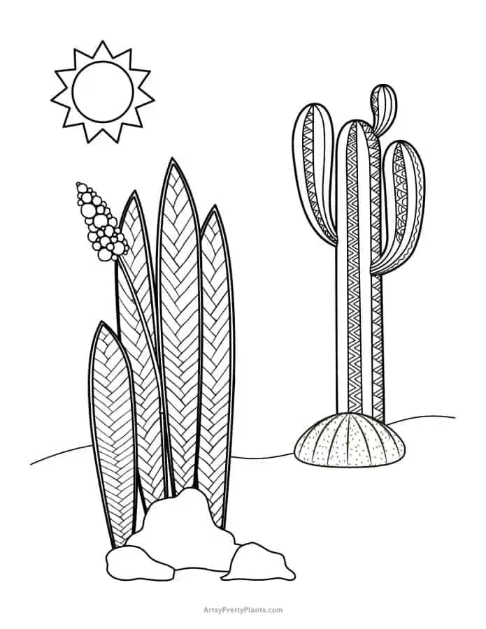 Free cactus coloring pages printable pdfs