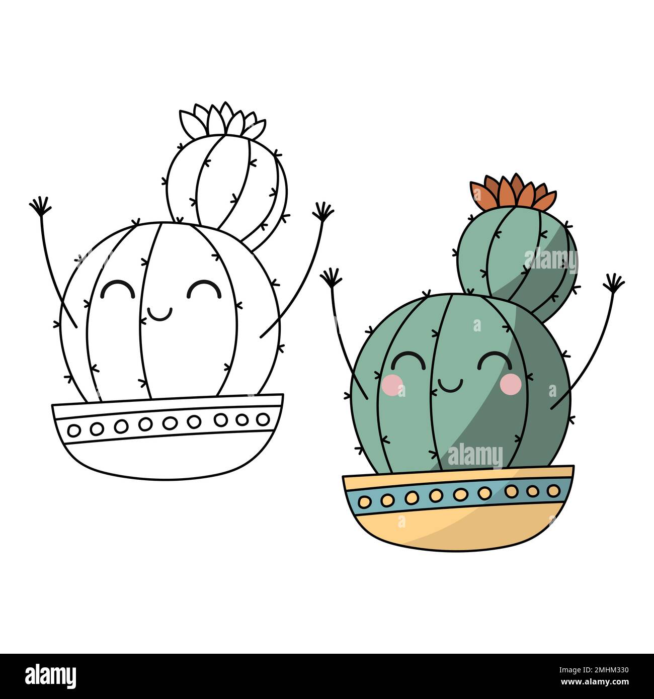 Succulent flower in black white cut out stock images pictures