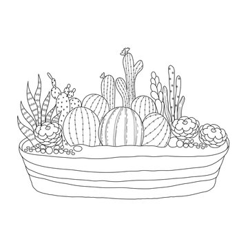 Cactus for adult and children coloring book handdrawn vector illustration vector