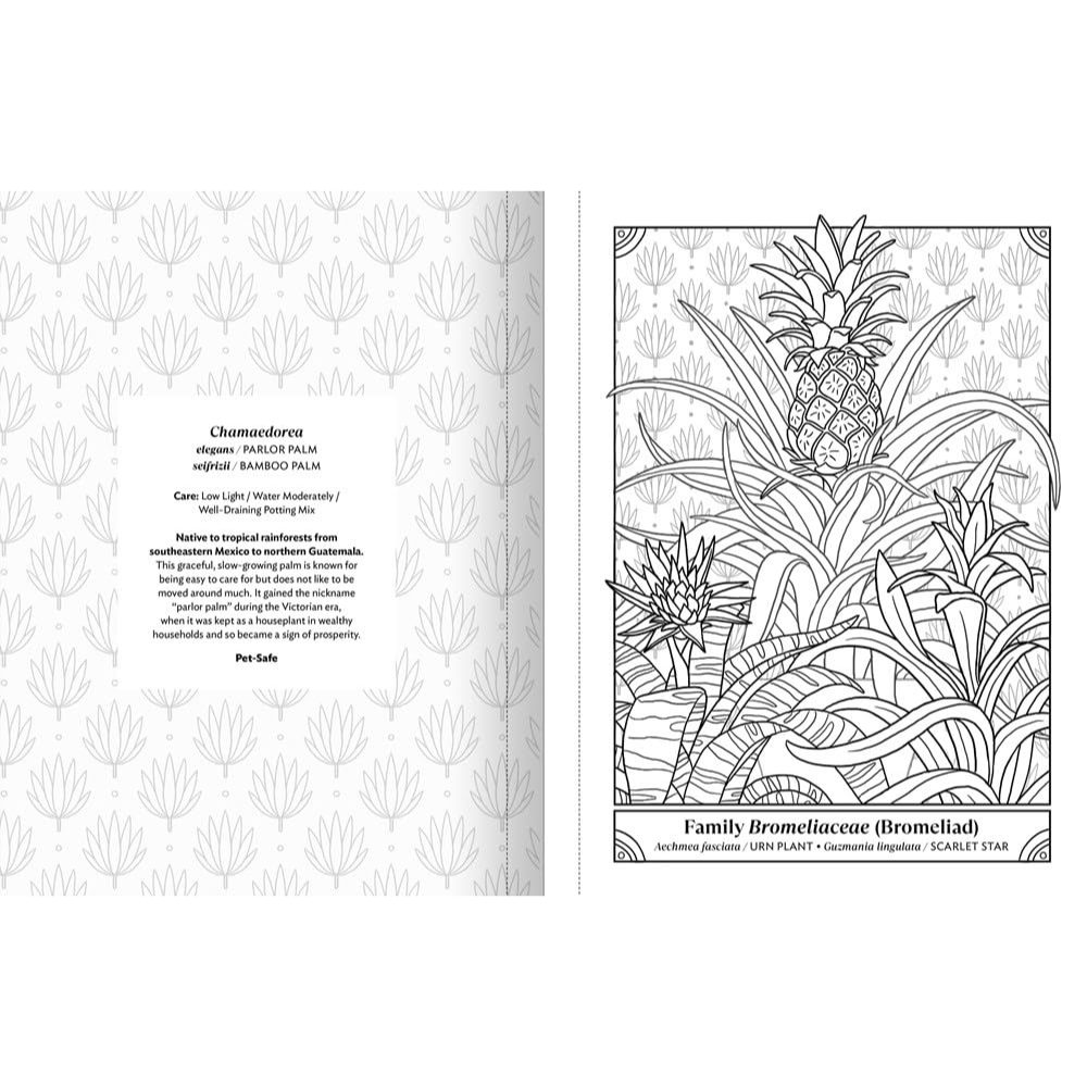 The happy houseplant coloring book â backyard botanist