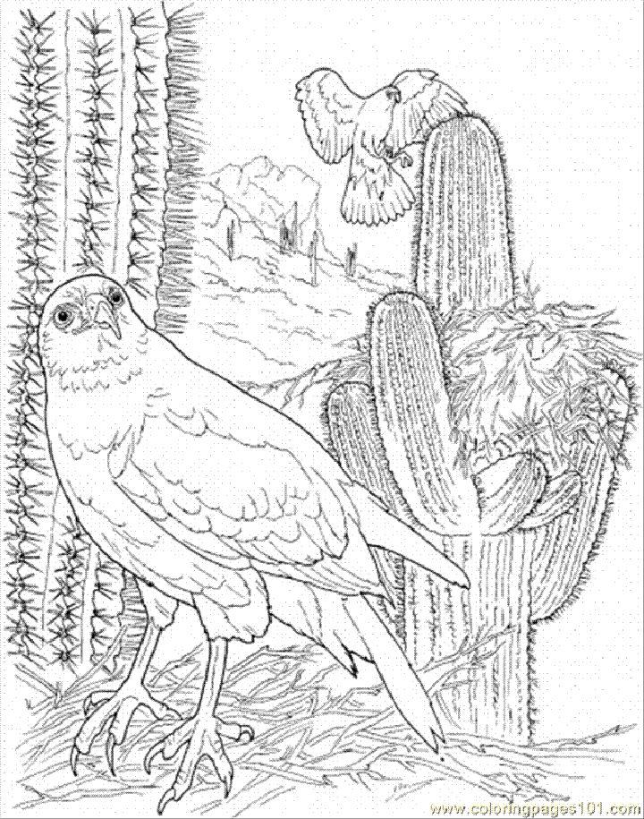 Free cactus coloring pages for kids and adults