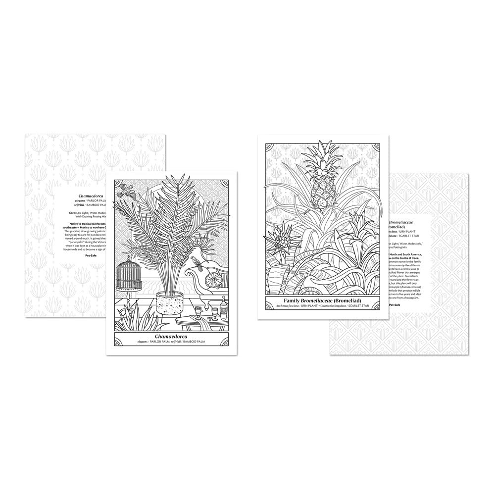 The happy houseplant coloring book â backyard botanist