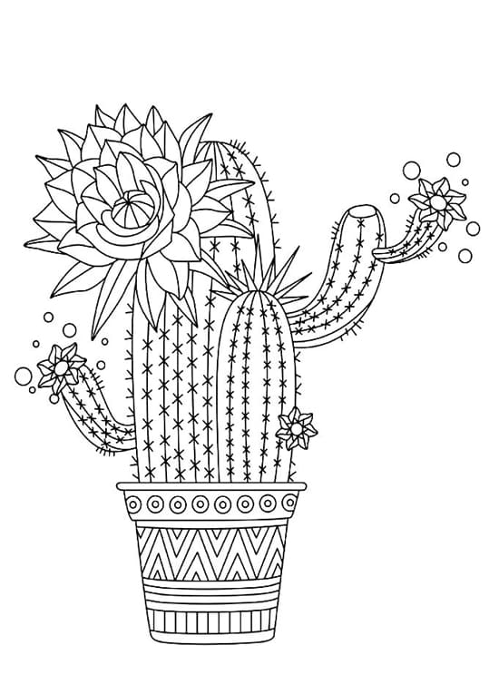 Cactus coloring pages