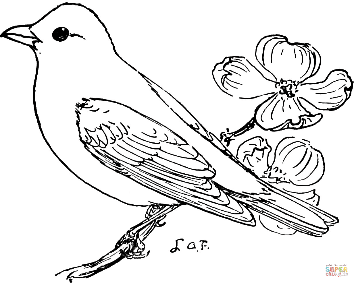 Scarlet tanager coloring page free printable coloring pages