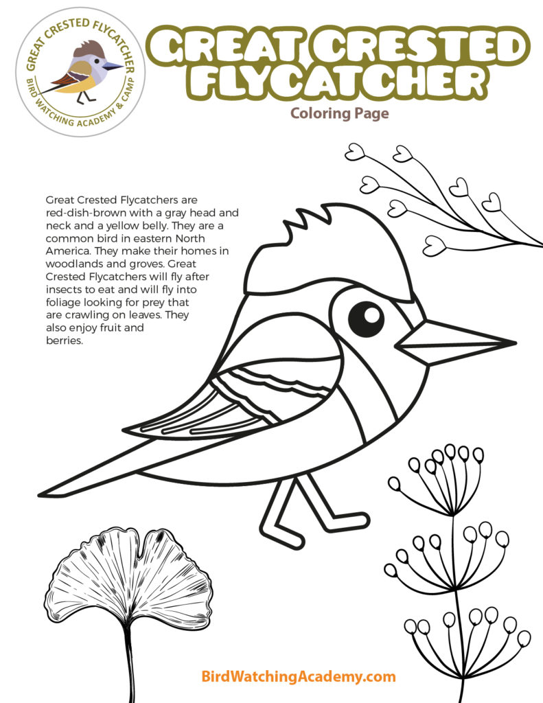 Bird coloring pages