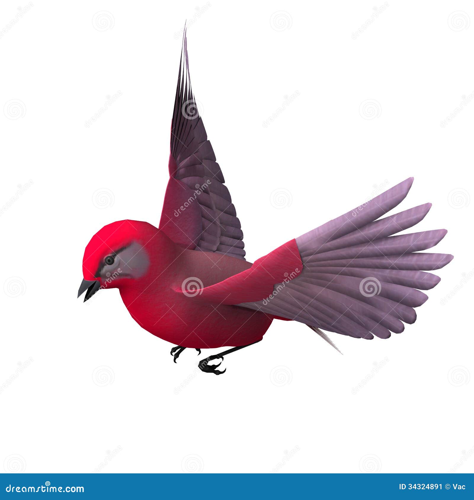 Scarlet tanager stock illustrations â scarlet tanager stock illustrations vectors clipart