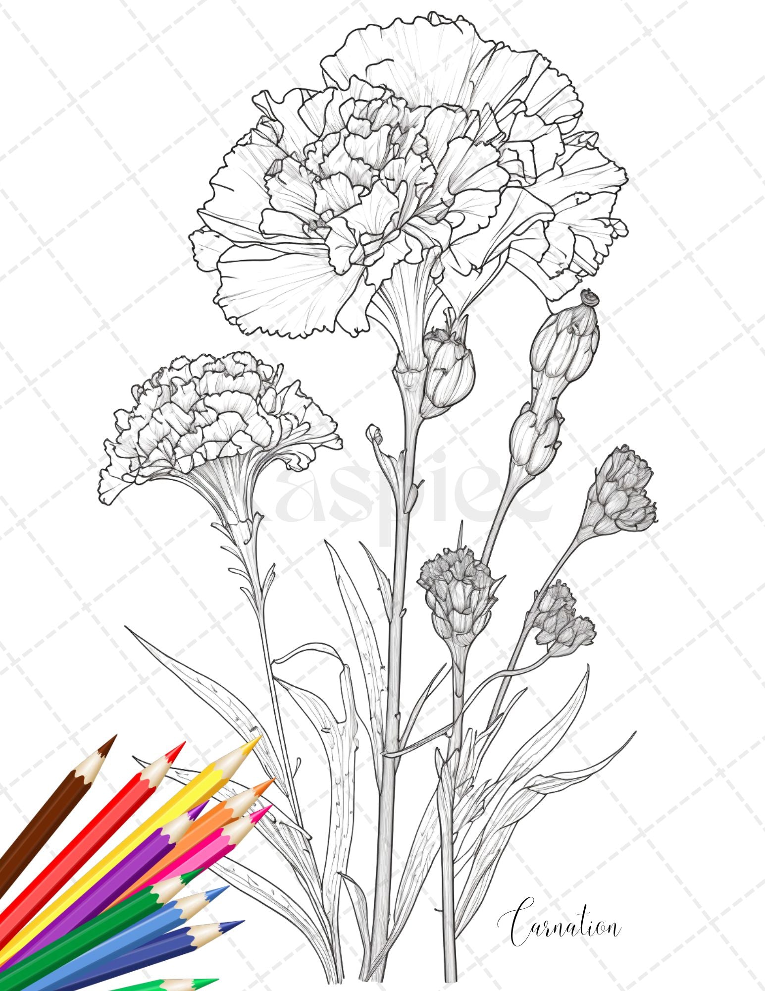 Botanical flowers printable coloring pages for adults floral grays â coloring