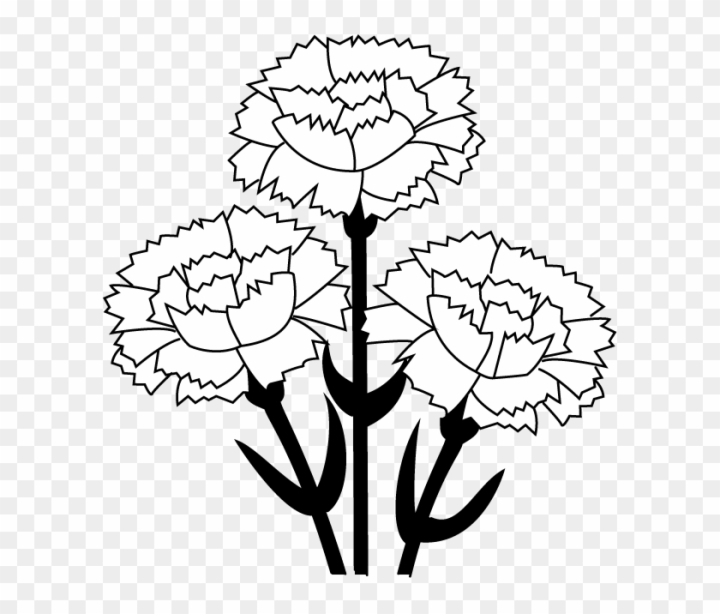 Free carnation clip art