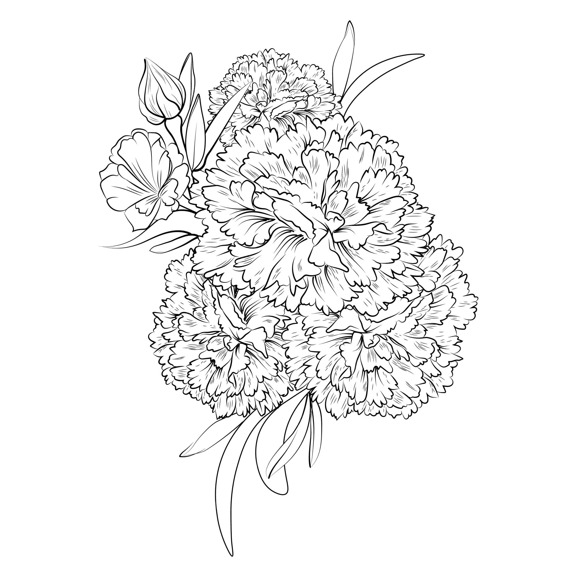 Premium vector black and white outline vector coloring book page for adults and children bouquet flowers carnation