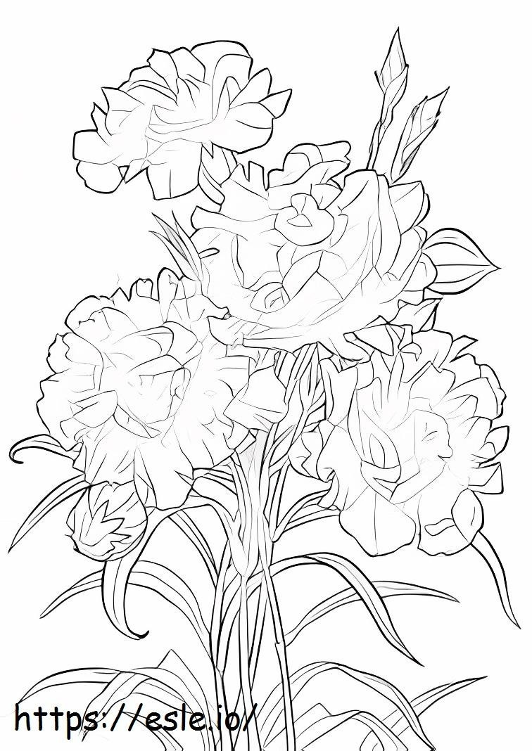 Scarlet carnatn coloring page
