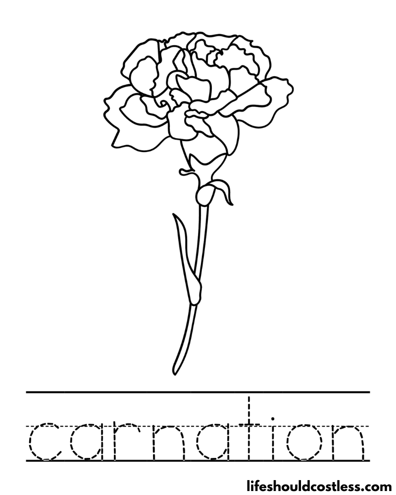 Carnation coloring pages free printable pdf templates