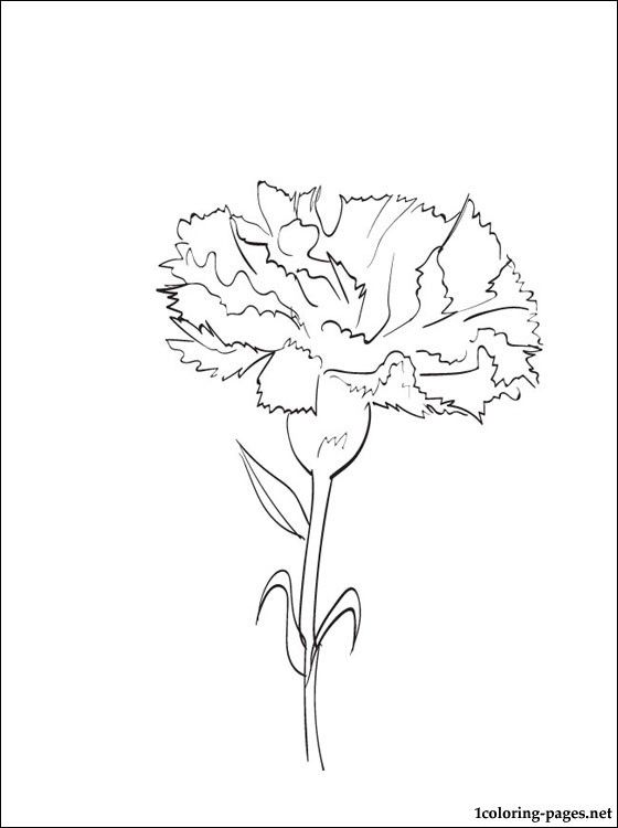 Pin on watercolor mixed