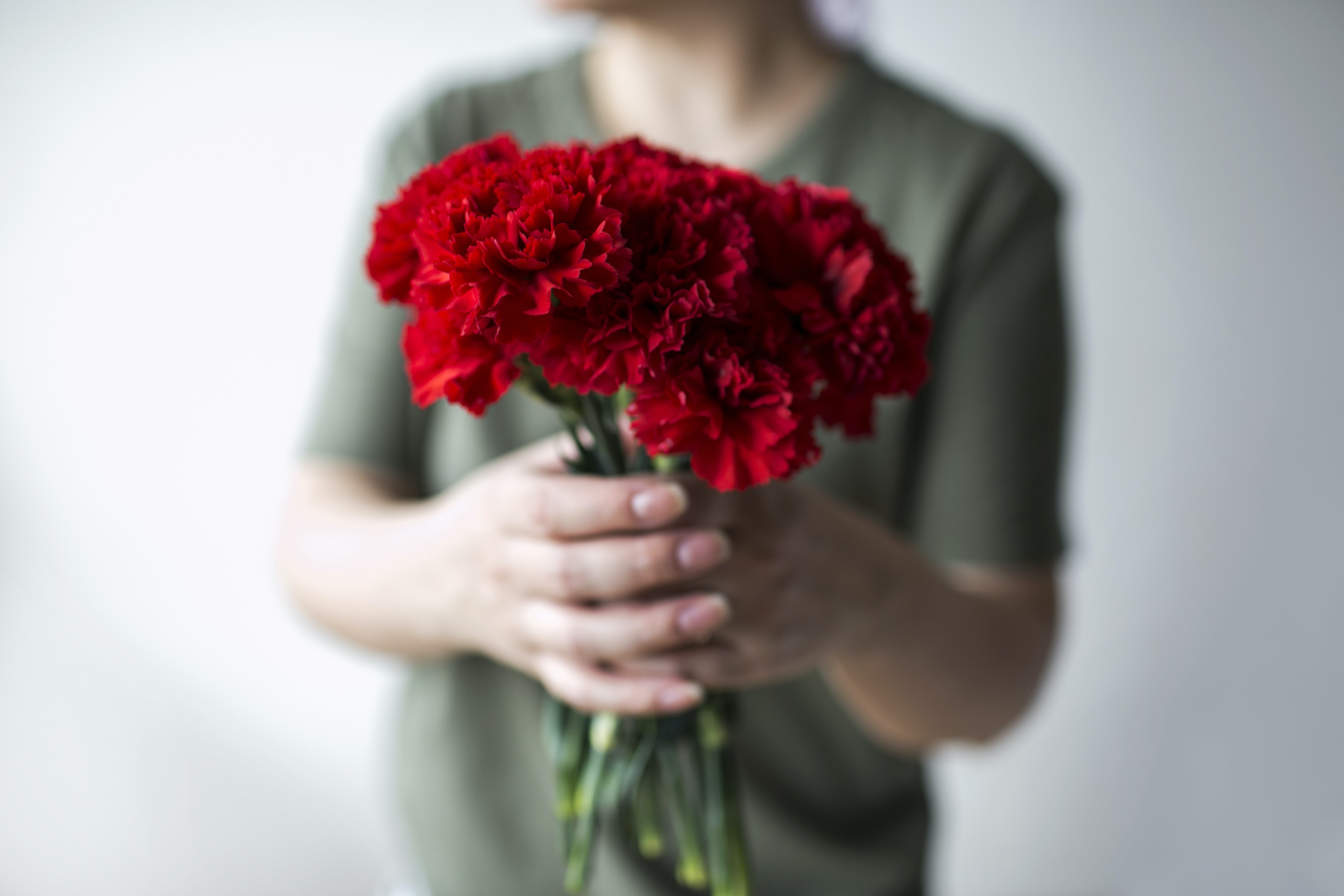 Carnation flower coloring steps