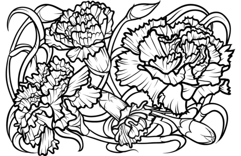 Carnation coloring pages free coloring pages