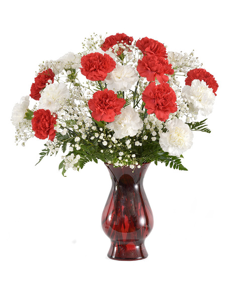 About red and white carnations from walter knoll florist in saint louis mo