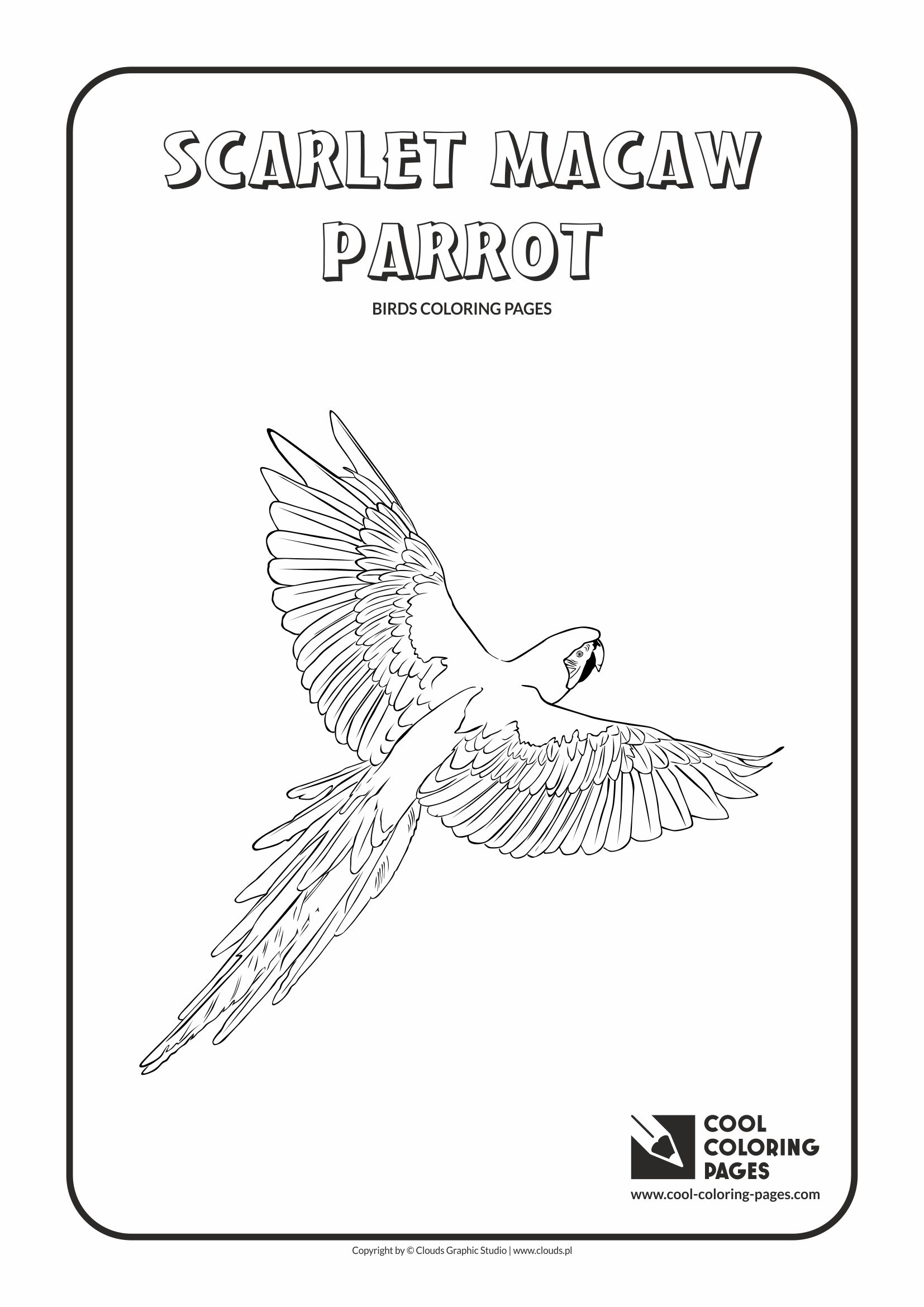 Cool coloring pages birds coloring pages