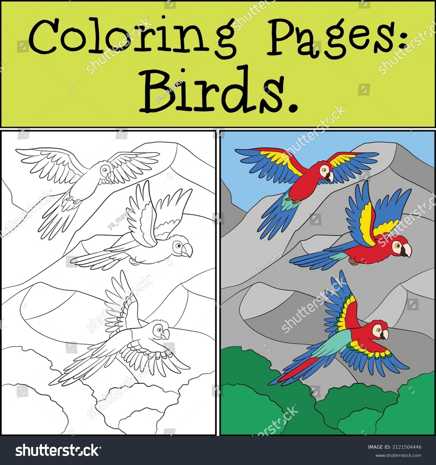 Coloring page example three cute parrots stock vector royalty free