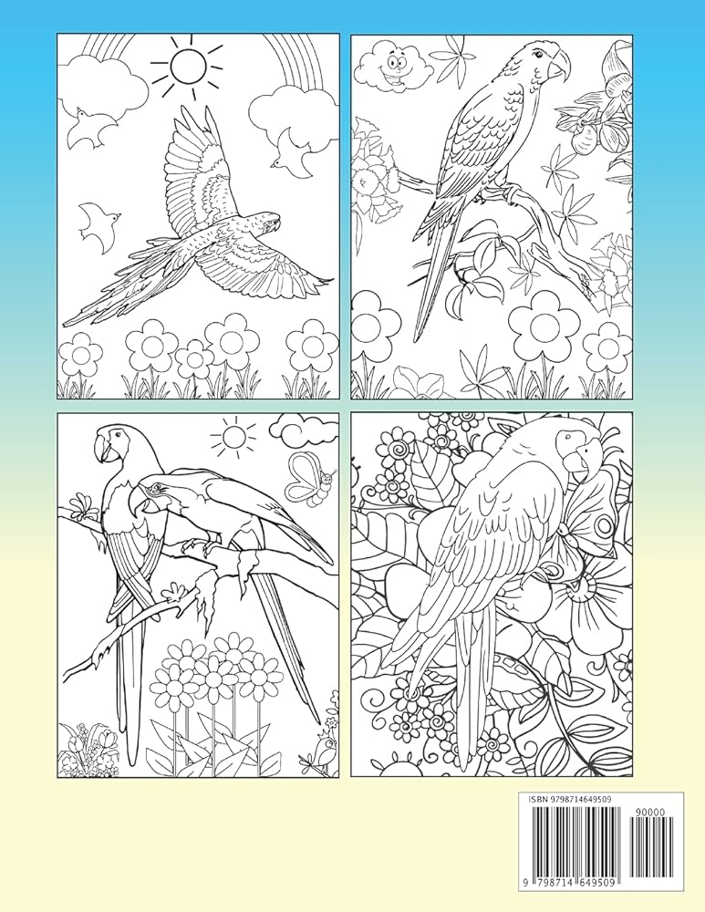 Kids macaw coloring book magnificent macaw activity and coloring book for kids coloring practice