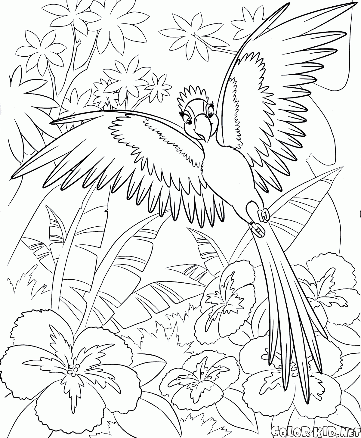 Coloring page
