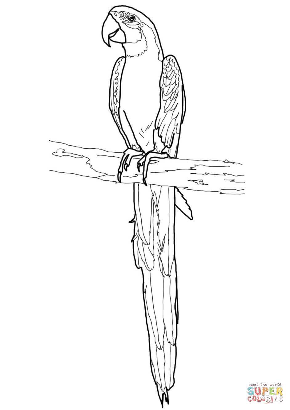 Blue and gold macaw coloring page free printable coloring pages