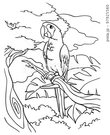 Parrot coloring page for kids