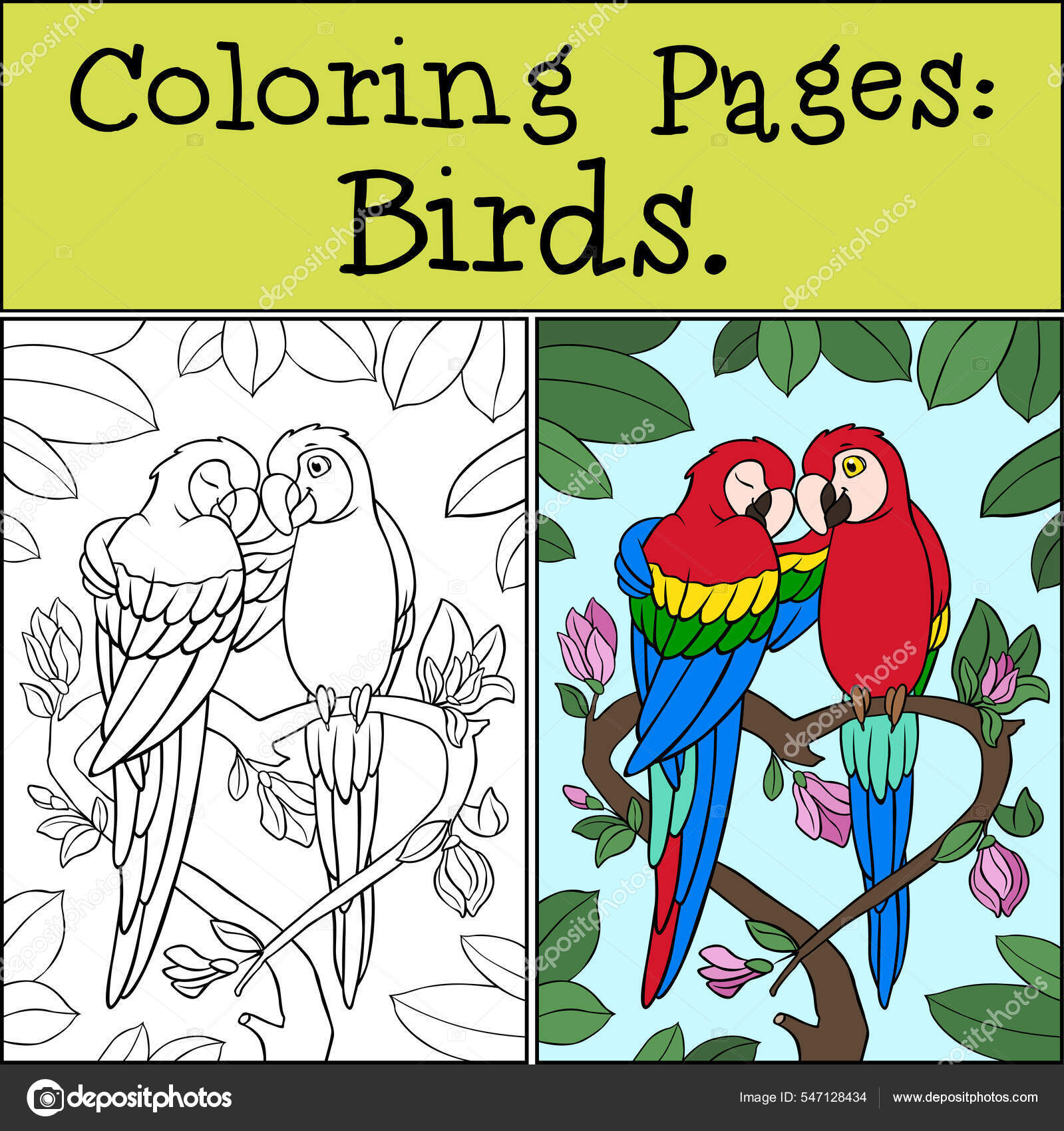 Coloring page example pair cute parrots red macaw sits smiles stock vector by ya