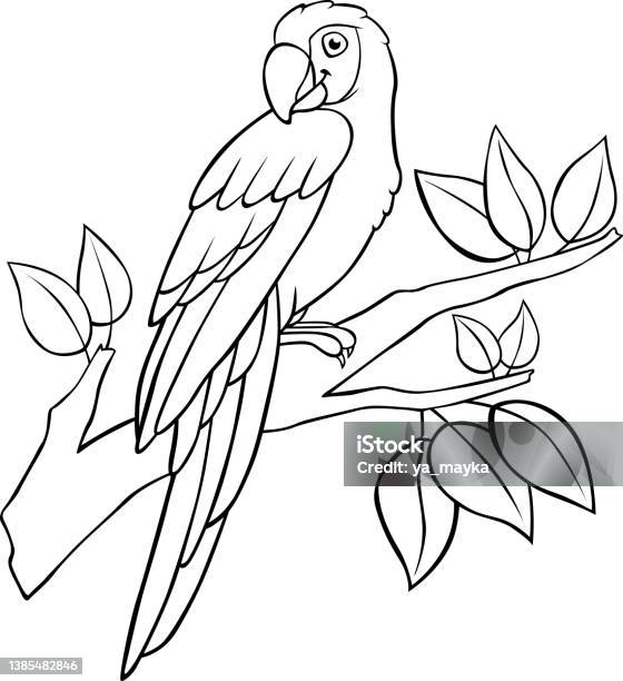 Coloring page cute parrot red macaw sits and smiles stock illustration