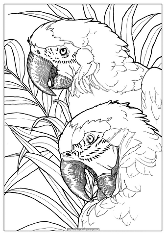 Coloring pages
