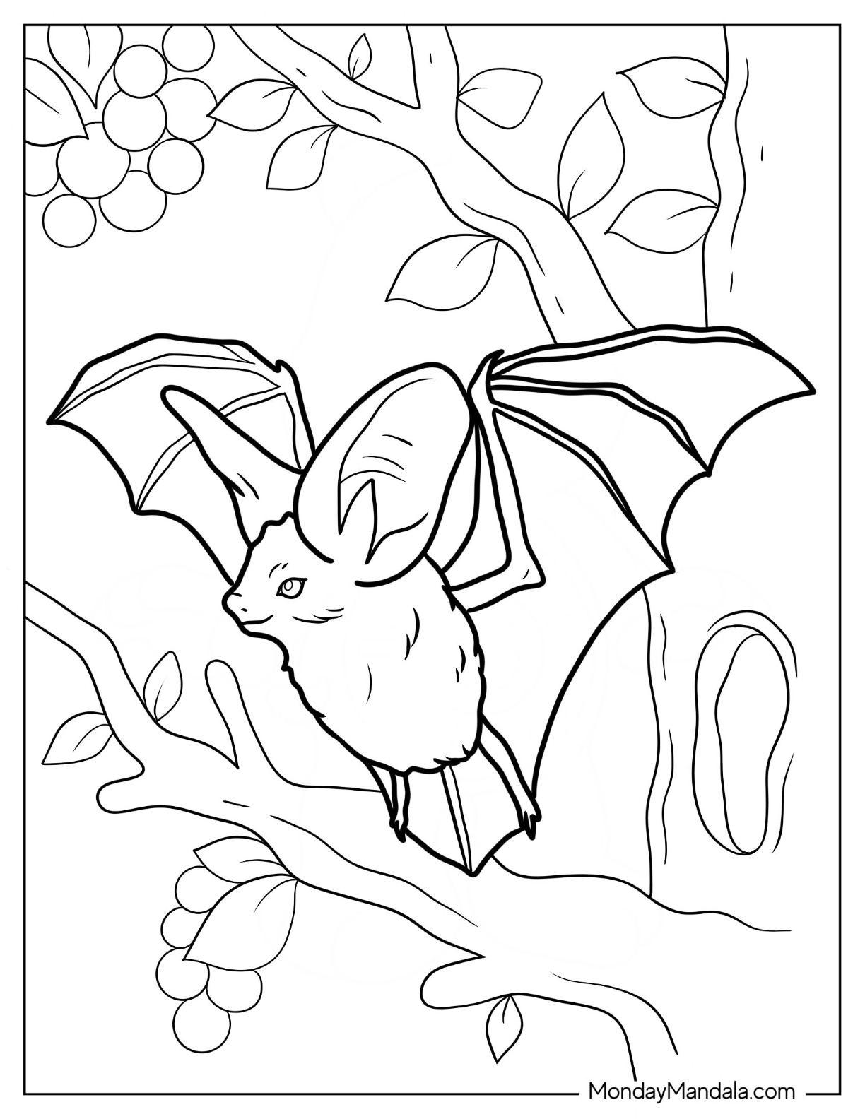 Bat coloring pages free pdf printables