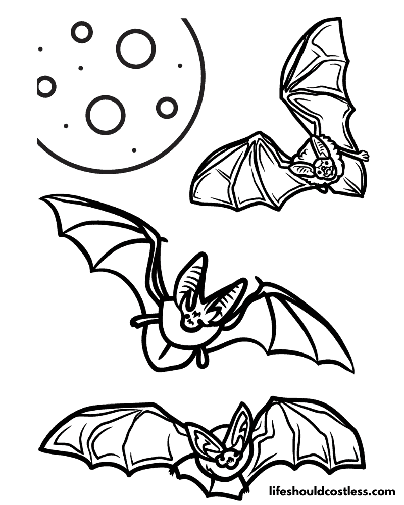 Bat coloring pages free printable pdf templates