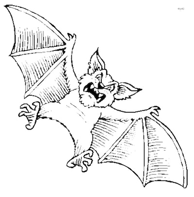 Cute bat coloring pages you can print for free